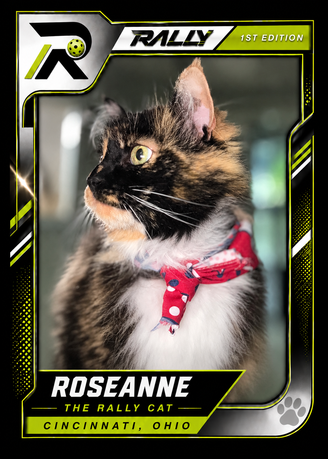 Meet Roseanne
